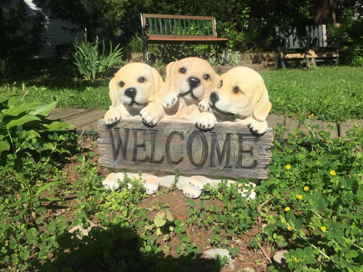 Bed & Breakfast Susan's